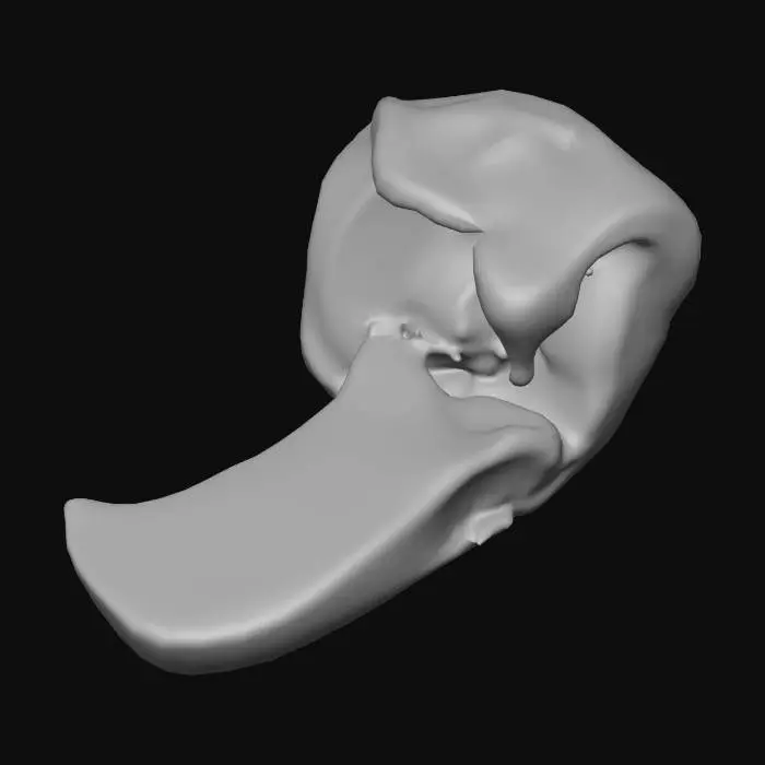 3D model for Bone Marrow
