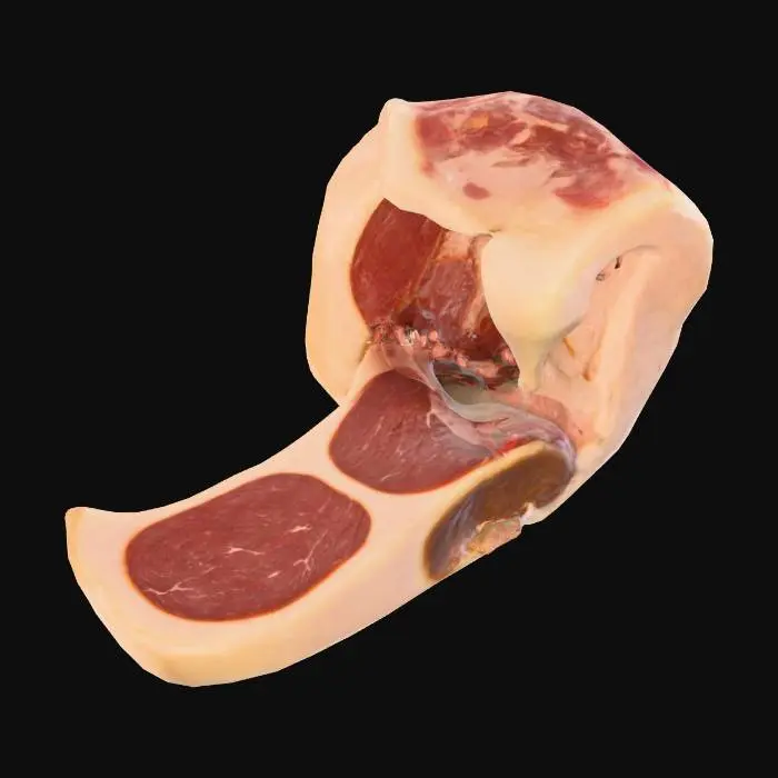 3D model for Bone Marrow