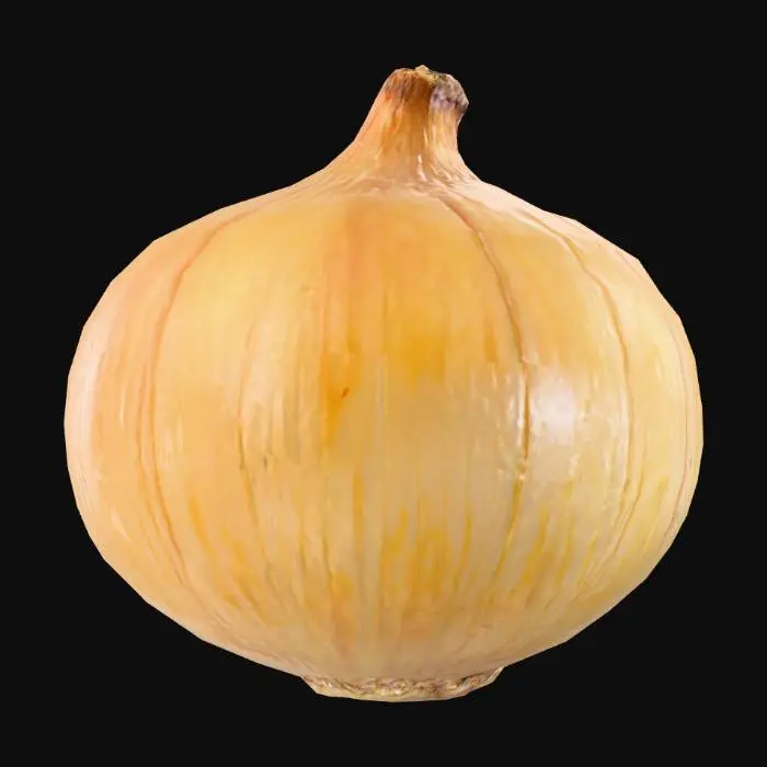 3D model for A classic yellow onion, presenting a globe-like, slightly flattened spherical shape. Its outer skin is dry, thin, and papery, a shimmering golden-brown color with occasional lighter streaks, feeling slightly brittle to the touch. Beneath this, the fleshy layers are firm and smooth, transitioning from pale cream to white. A small, fibrous root plate is visible at one end, and a dried, pointed stalk-end at the other. Its overall feel is robust and dense.
