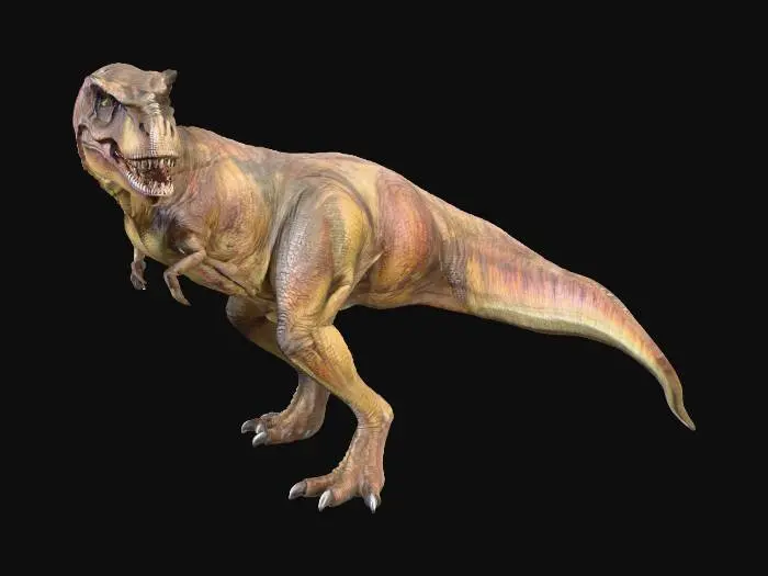 3D model for Tyrannosaurus Rex