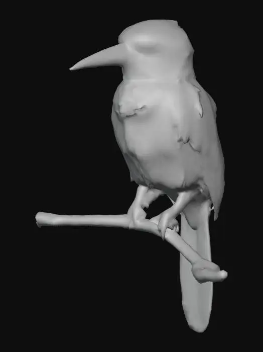 3D model for Colorful Motmot Perched