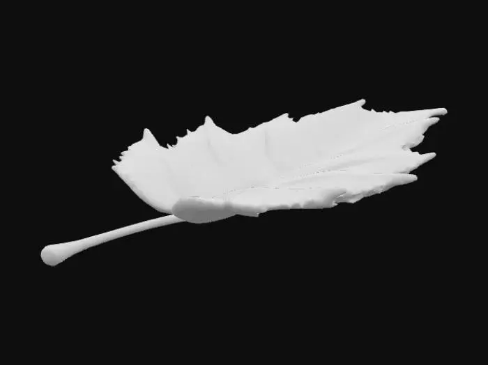 3D model for huş ağacı yaprağı