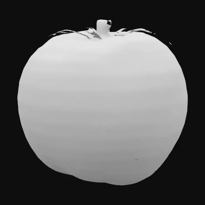 3D model for Tomato Splash
