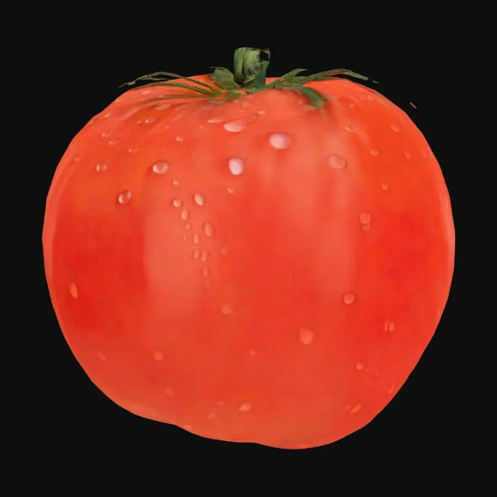 3D model for Tomato Splash