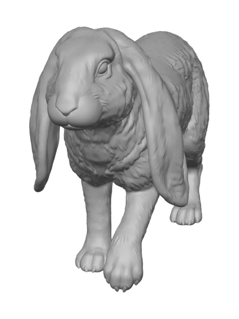 hare