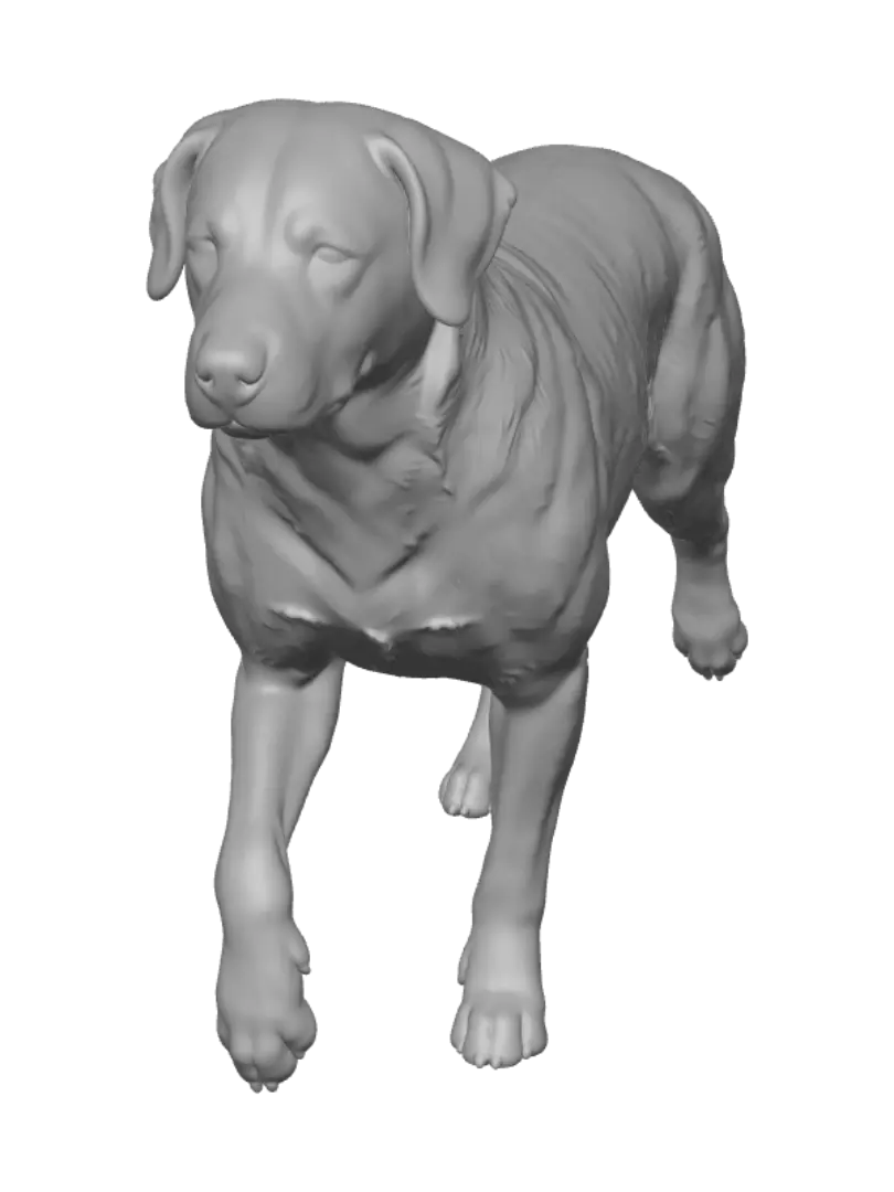 hound