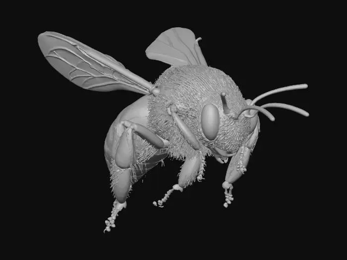 3D model for 현실적인 꿀벌