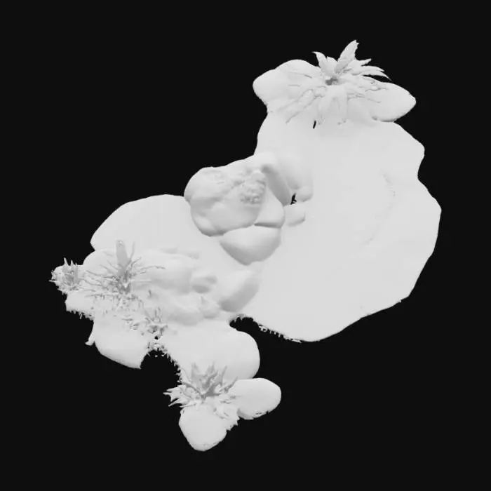 3D model for island bay