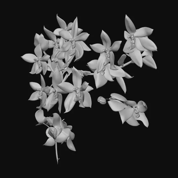 3D model for Tiger Orchids Harmony