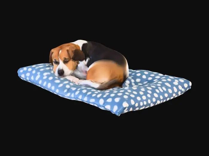 3D model for Cozy Canine Nap