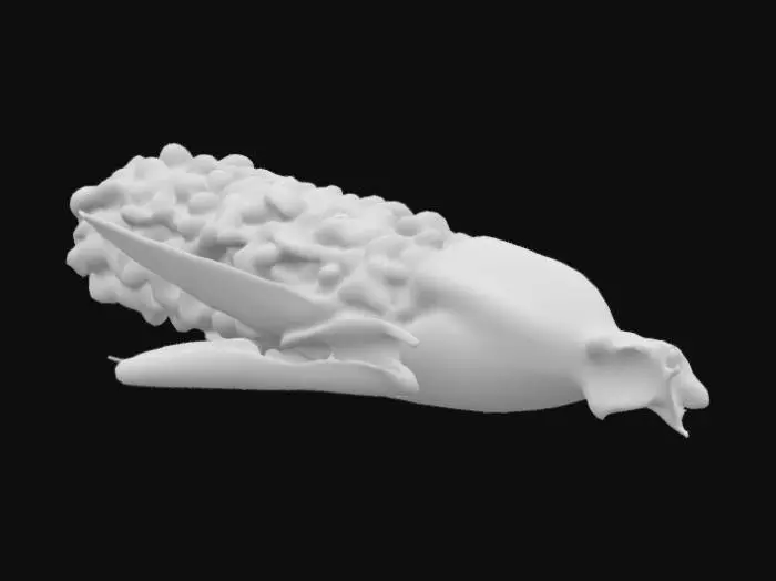 3D model for A moldy ear of corn, with its leaves still attached, dull and ugly colors, withered, missing kernels, an old hanging cob
