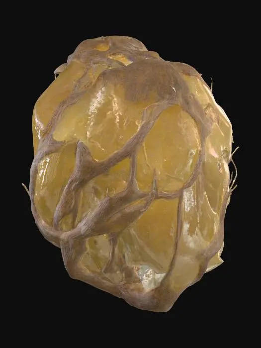 3D model for Radiant Ember