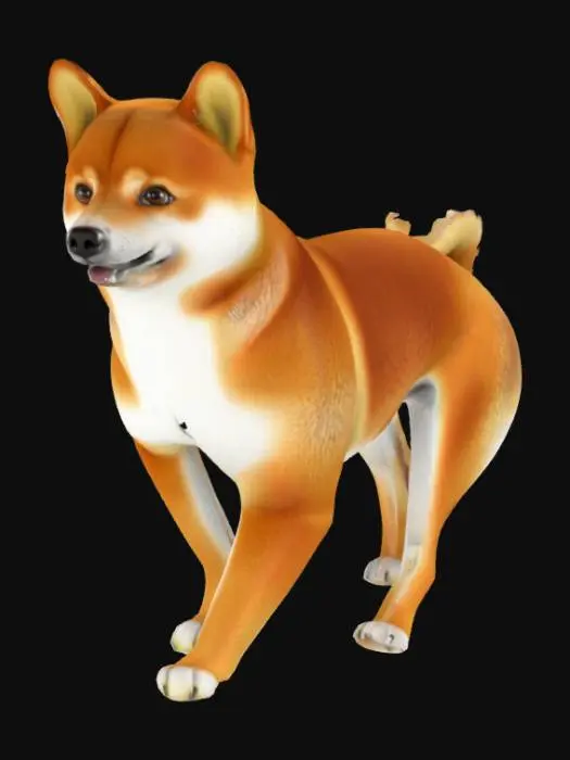 3D model for Generate a 3D model of a cute Shiba Inu dog standing on all four legs. It should have a fluffy, reddish-brown coat with white markings on the chest and face, and a curled tail. The dog should have an alert, curious expression with bright eyes and upright ears. Ensure the bone structure supports a natural standing posture with straight legs and balanced proportions.

