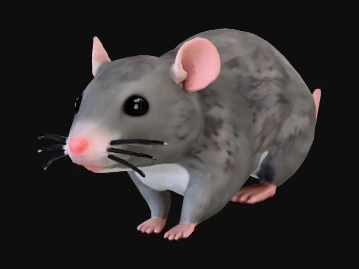 3D model for Stylized Rat Render