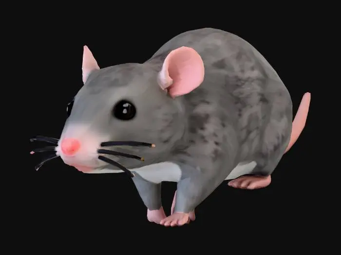 3D model for Stylized Rat Render