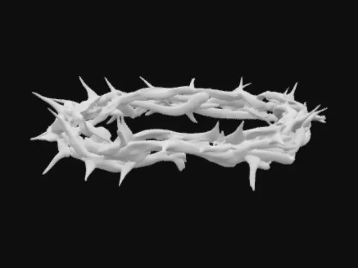3D model for Crown of Thorns