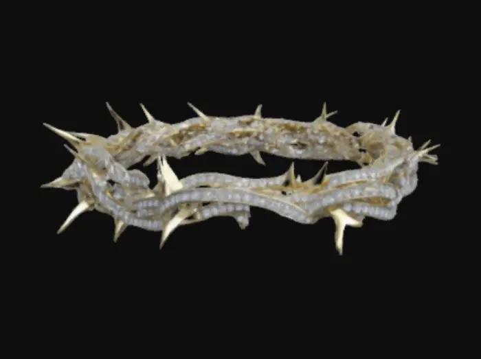 3D model for Crown of Thorns