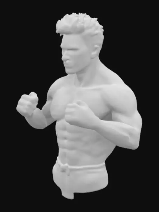 3D model for Determined gaze, solid build, extremely muscular, shirtless, martial arts, master, fighting pose, 