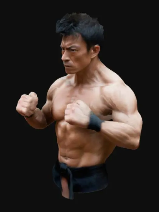 3D model for Determined gaze, solid build, extremely muscular, shirtless, martial arts, master, fighting pose, 