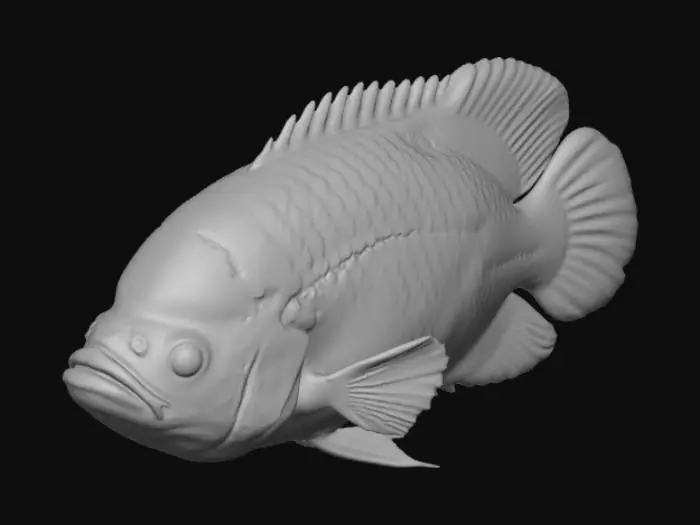 3D model for Aquatic Majesty