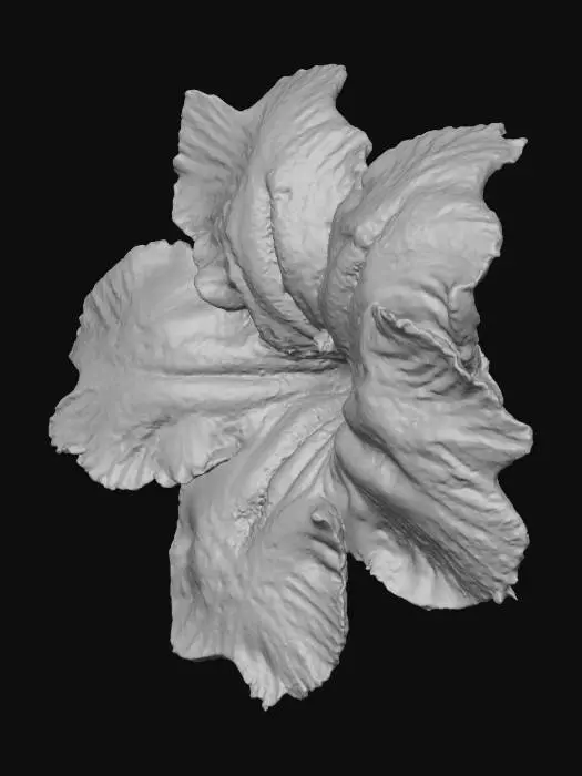 3D model for Opera Snapshot_2025-11-19_202042_classroom.google.com.png