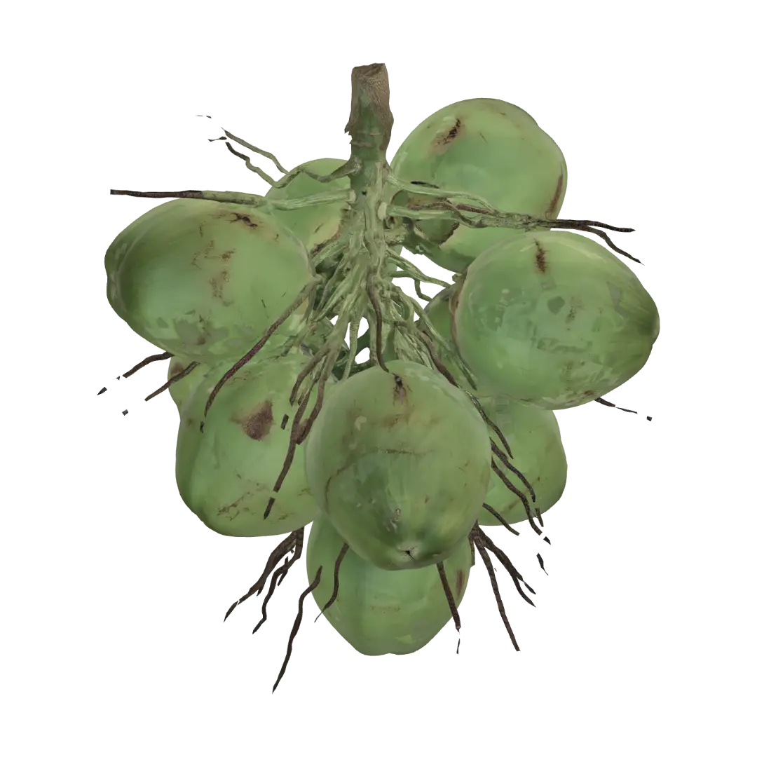 Cluster of green coconuts - Coconut 3D model, vytvořený pomocí AI