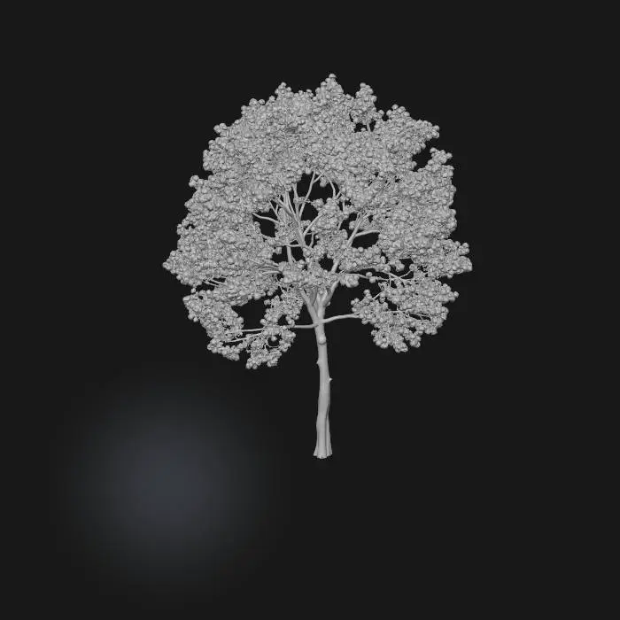 3D model for Lilac Blossom Tree
