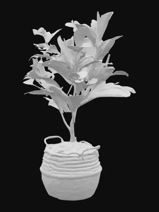3D model for Flower in vase boho