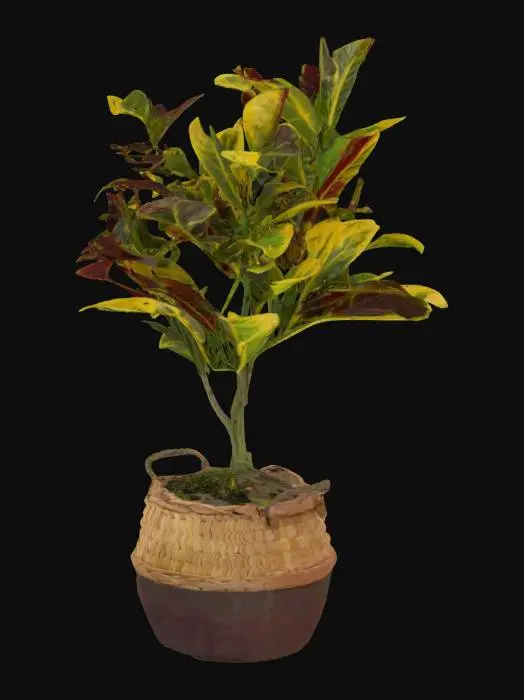 3D model for Flower in vase boho