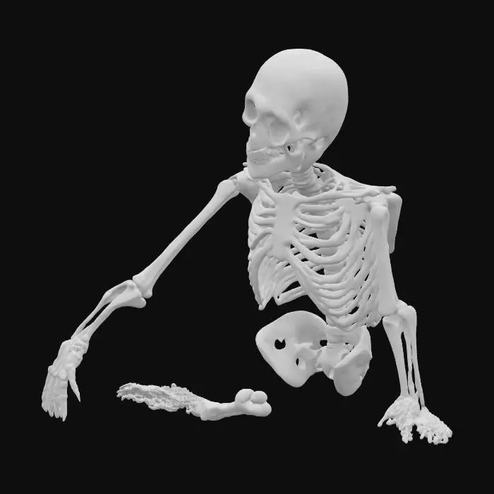 3D model for labirentte mahsur kalmış adamın iskeletleşmiş cesedi