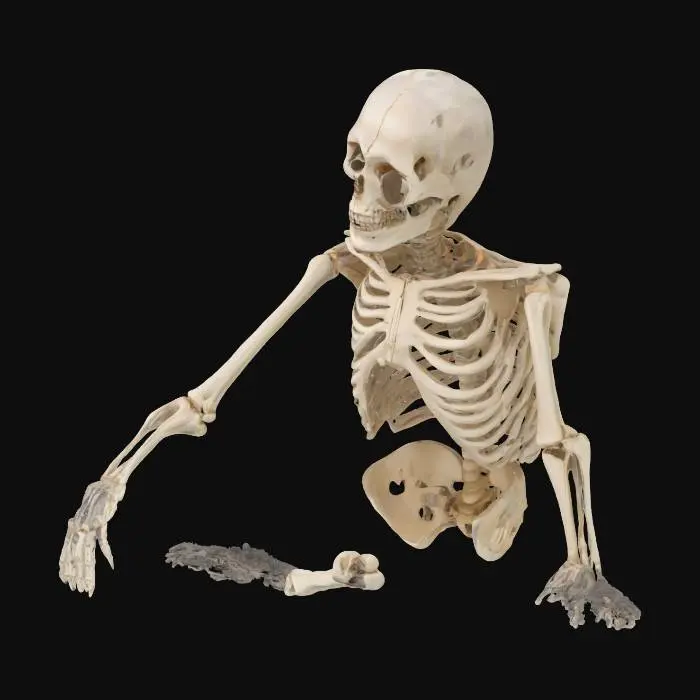 3D model for labirentte mahsur kalmış adamın iskeletleşmiş cesedi