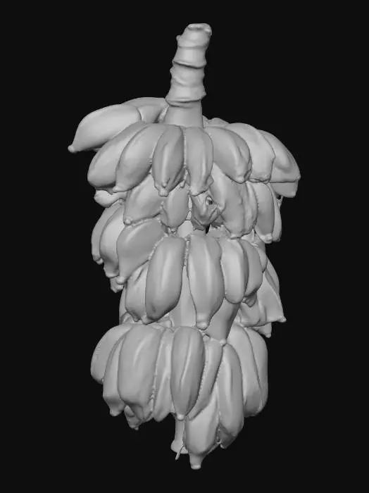 3D model for Bunch of Green Bananas