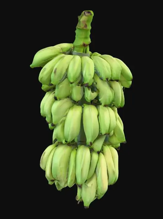 3D model for Bunch of Green Bananas