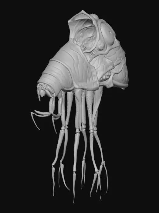 3D model for silt strider