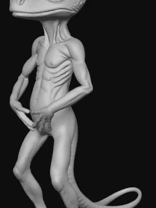3D model for Chameleon with human body