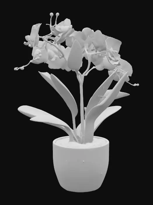 3D model for orchid plant in a white potted