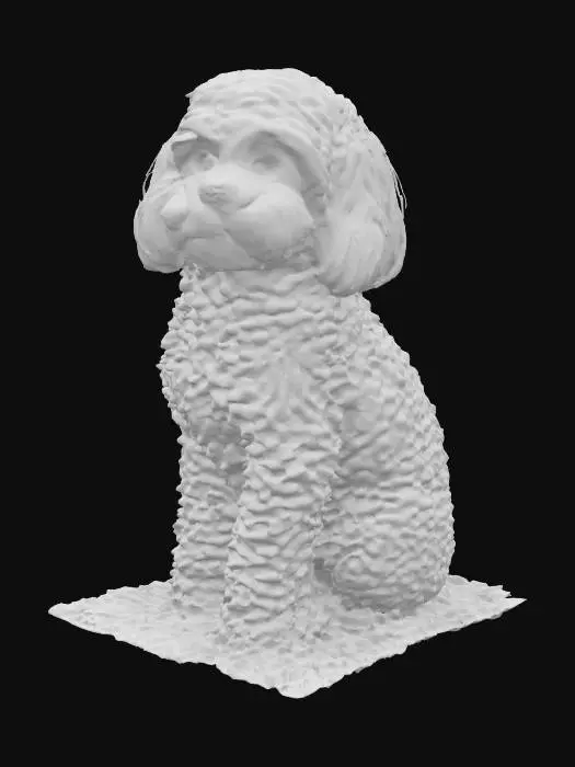3D model for Curly Companion