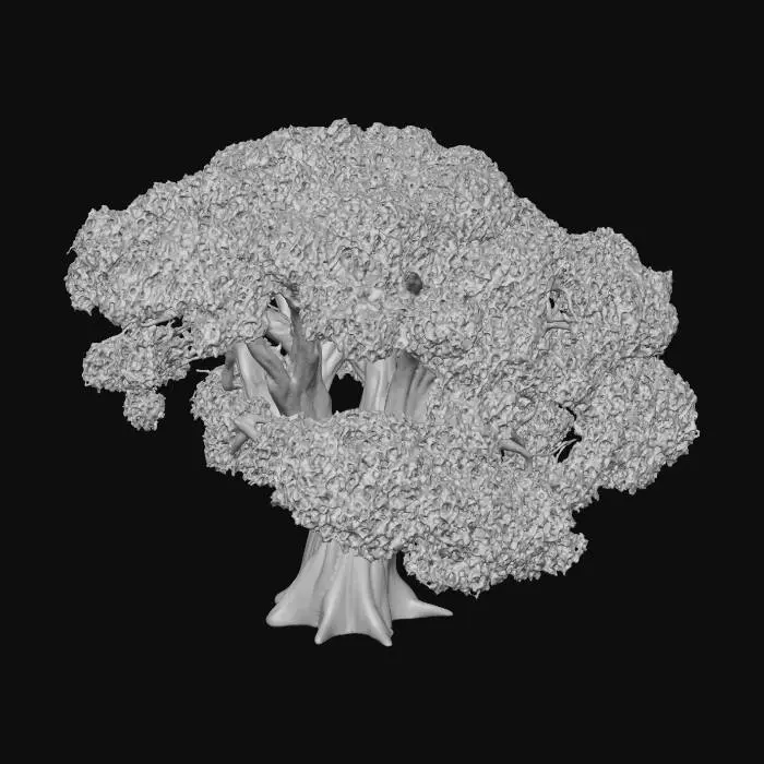 3D model for Simple, realistic Oak Tree