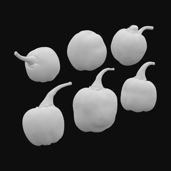 3D model for Habanero Harvest
