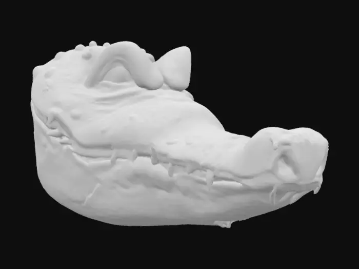 3D model for Crocodile Grin