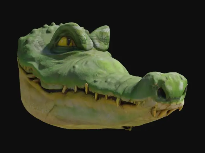 3D model for Crocodile Grin