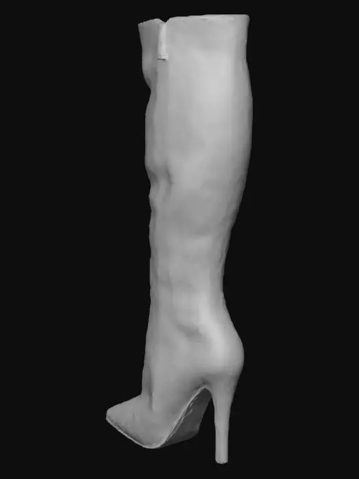 3D model for Gold-Silver Brocade Knee-High Boot