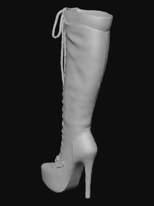 3D model for Golden Lace-Up Thigh-High Boot