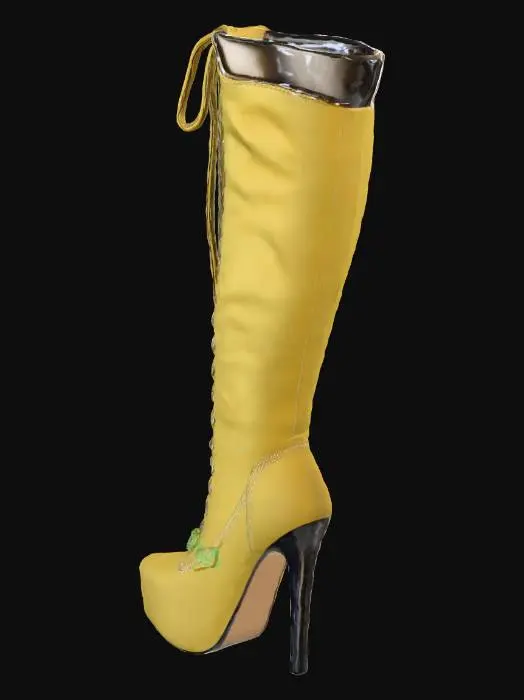 3D model for Golden Lace-Up Thigh-High Boot