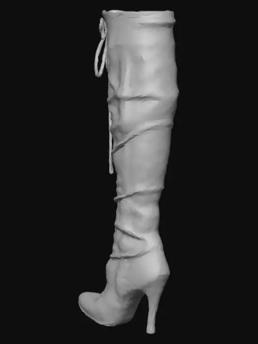 3D model for Gilded Knee-High Boot