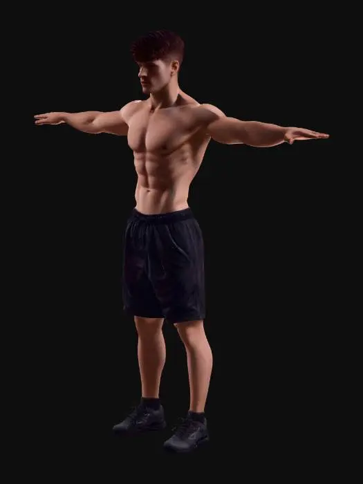 3D model for Chiseled Physique