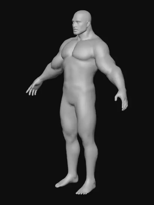 3D model for Human Base