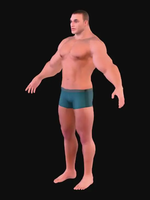 3D model for Human Base