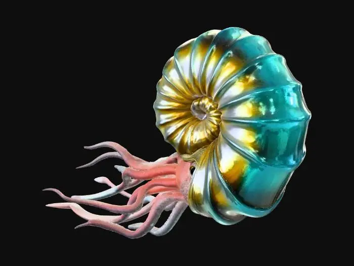 3D model for ammonite