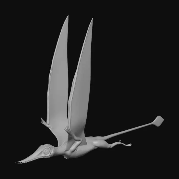 3D model for Pterosaur Flight